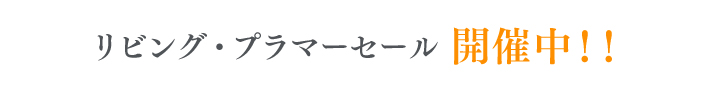 リビング・プラマーセール！開催中！！