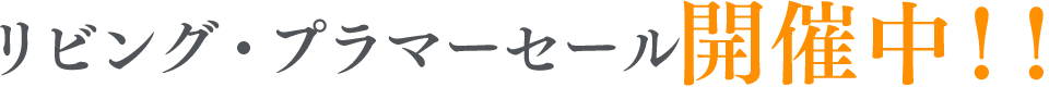 リビング・プラマーセール 開催中！！